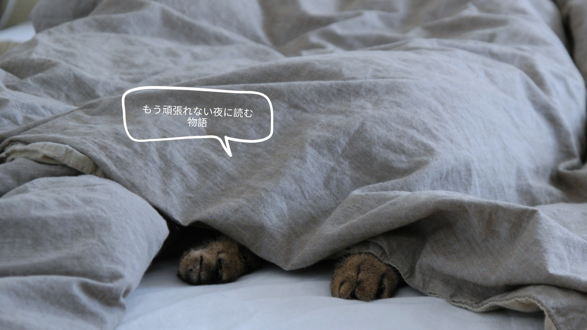 心が折れた夜に、まずは布団の中で息をつく